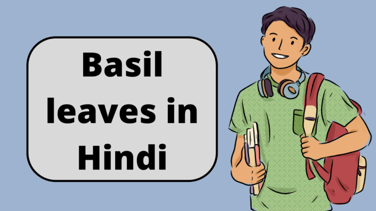 basil-leaves-in-hindi