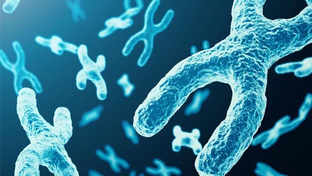 क्रोमोसोम की खोज किसने की | chromosome ki khoj kisne ki thi?