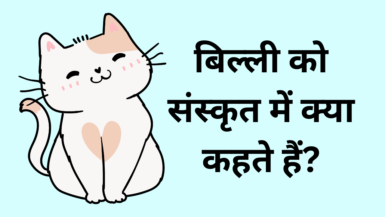 billi ko sanskrit mein kya kahate hain