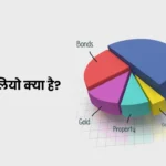Portfolio meaning in Hindi